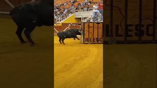 Toro Furioso Illescas España🇪🇸 toros best event spain yt parati account🐂 TOROSIMPACTOTOTAL [upl. by Bundy]