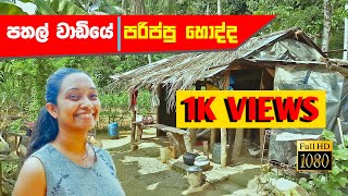 Gilimale  Gemstone Industry  Asipath Neesha Vlogs  VLOG 07 මැණික් කර්මාන්තය visitsrilanka [upl. by Asillam]