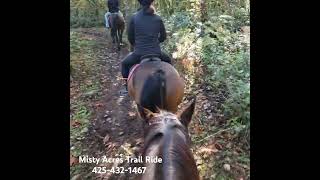 101424 Trail Ride Mistyacresravensdalewaweeblycom [upl. by Aihsenad]