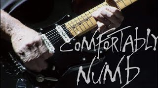 Dave Gilmour  Comfortably Numb Live Gdansk [upl. by Eiraminot]