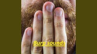 Burp sound for video [upl. by Maris173]