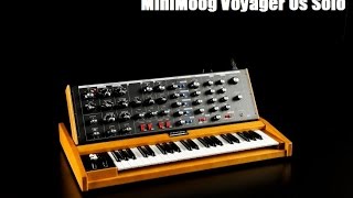 Moog MiniMoog Solo 2 [upl. by Ecyor]