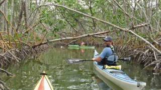 Kayaking the Florida Everglades [upl. by Metcalf]