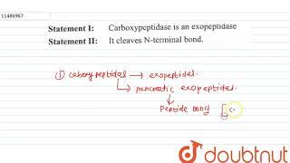 Statement I Carboxypeptidase is an exopeptidase Statement II It cleaves Nterminal bond [upl. by Hambley]