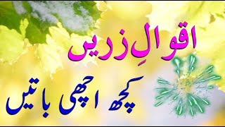 Best 13 Aqwal e Zareen in urdu  Islamic aqwal zareen  By Gold3n Wordz [upl. by Cinelli259]