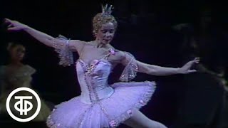 ПЧайковский Спящая красавица Sleeping Beauty Bolshoi Theatre 1988 [upl. by Ahsercel339]