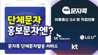 기업 단체 문자나 홍보 문자가 필요할땐 단체 문자 발송 방법 비즈니스 문자 발송 저렴한 대량 문자 발송하는 꿀팁 문자콕 서비스 국내 최저 문자마케팅 알림톡을 보내는법 [upl. by Aytida989]