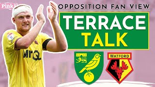 Terrace Talk  Norwich City vs Watford S6 Ep6  Fresh belief for Hornets fans under Tom Cleverley [upl. by Ranna]