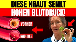 3 Wunderkräuter zur Senkung des Blutdrucks amp Arterienreinigung – Barbara ONeills Geheimnisse [upl. by Airrehs]