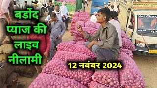 12 नवंबर 2024 बर्डोद प्याज कि नीलामी  बर्डोद मंडी में प्याज भाव  Bardod behror rajasthan [upl. by Orpha]