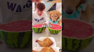 EATING COMPETITION GONE WRONG 🥶🥶🥶 shortvideo puppy funny youtubeshorts [upl. by Seto]