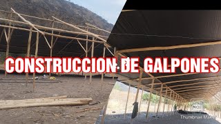 CONSTRUCCION DE UN GALPON AVICOLA DE 10 MIL POLLOS EN ABANCAY  detalle de la infraestructura [upl. by Mears]