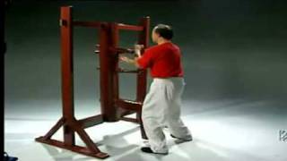 Mai Gei Wong Wing Chun by Wong Nim Yi Sifu [upl. by Htedirem680]