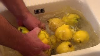 Comment faire de la gelée de coings  Quince jelly [upl. by Rabma252]