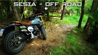 SESIA🏞️  Off Road  ¦NovaraCarpignano Sesia¦Caballero Scrambler Deluxe🏍️ [upl. by Formica]