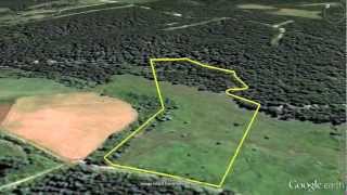 15 acres Missouri Land for Sale pay 760 monthly Owner Financing [upl. by Sallie]