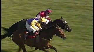 2004 Supreme Novices Hurdle Brave Inca Includes Post Race [upl. by Albarran348]