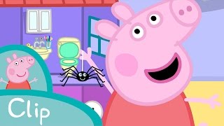 Peppa  La araña clip [upl. by Ycnalc]