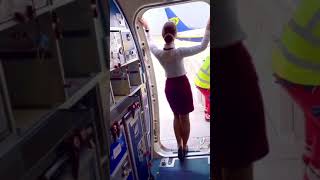 Flight Attendant Closing The Boarding Door  Is it Hard to Close [upl. by Aisha]