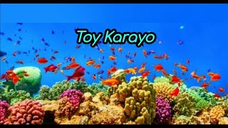 Toy Karayo with Lyrics Ilocano Song  Jemaron [upl. by Ariajay]