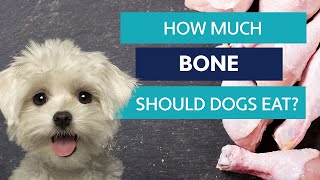 How Much Bone Do RawFed Dogs Need [upl. by Sarina]