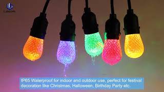 S14 colorful festoon LED string light [upl. by Aubree]