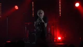 UK Subs  Endangered Species Zikenstock Festival 2022 CateauCambrésis France HD [upl. by Schreck]