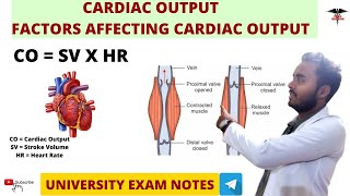 Cardiac Output  Factors Affecting Cardiac Output  CVS Physiology [upl. by Bonny]