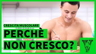 Perchè non cresco Come sensibilizzare le cellule muscolari [upl. by Amelie]