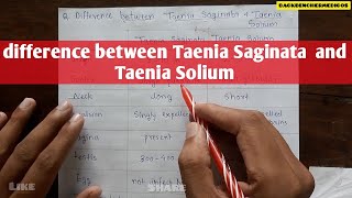 difference between taenia saginata and taenia solium l microbiology parasitology [upl. by Jeanna]