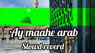 eye maahe Arab New slowd kllam mollana sahid imran ameen ULLAH saidi ofishl cainele 🌹☘️🌿💯💤🖤💬🥀💫🌻🌱🌻💛😍😶 [upl. by Marl]