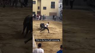 Hombre desafía al toro en la calle bull spain [upl. by Alhsa311]