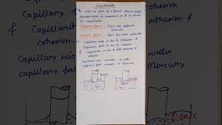 Class11PhysicsFluid MechanicsCapillarity [upl. by Pickford]