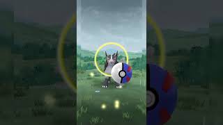 Catching a HUGE Mightyena in the wild pokemon go pokemon pokemongo mightyena [upl. by Hum]