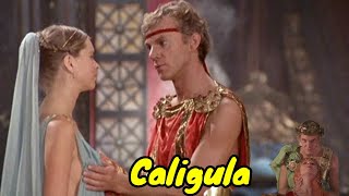 Caligula 1979 Full Movie Facts  Malcolm McDowell Tinto Brass  Review amp Facts [upl. by Adkins]