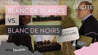 Champagne Types Blanc De Blancs Vs Blanc De Noirs [upl. by Teevens79]