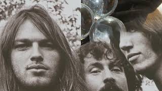 Pink Floyd Raving And Drooling With Lyrics [upl. by Stew]