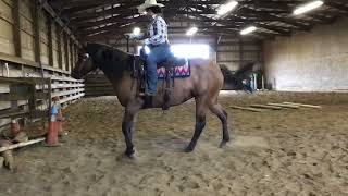 RayLena Bevington amp Katori Dunit Slick Sept Ranch Riding [upl. by Massey]