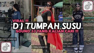 DJ TUMPAH TUMPAH SUSUNYA CAKEP TAPI SAYANG JADI BEBAN KELUARGA SOUND JJ VIRAL TIKTOK 2024 [upl. by Krisha]