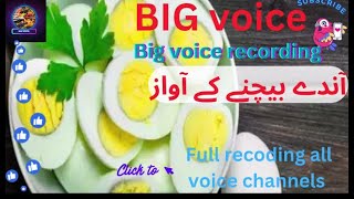 Garam Ande Uble Ande Bechne Ki Awaz Big voice 26 [upl. by Adnamar]