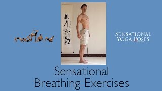 Thoracic Spine Mobility Exercises and Breathing [upl. by Ahsinawt]