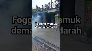 fogging nyamuk demam berdarah mosquito spraynyamuk mosquitokesehatan shorts [upl. by Lertnahs]