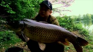 Carp Team Ahaus  Session Blog 12015 Baggersee [upl. by Naffets]