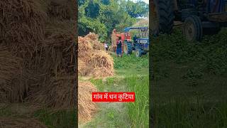 Aisa Desh hai Mera villagelife shorts viralvideo [upl. by Kanal528]