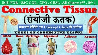 Connective tissue in hindi संयोजी ऊतक  Types of Connective Tissue  ssc campusmp4 [upl. by Shelley]