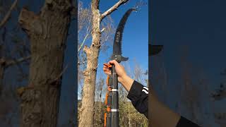 You can stand down from this argestable saw and cut down a tall tree shortvideo [upl. by Fredia949]