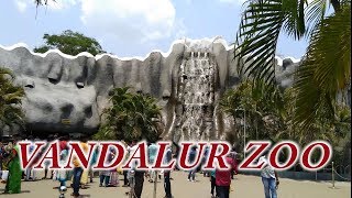 Vandalur Zoo  Arignar Anna Zoological Park [upl. by Grim]