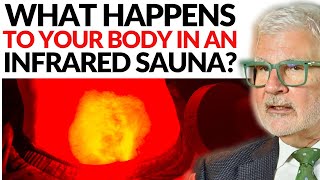 THIS is What Happens To Your Body in an Infrared Sauna  Dr Steven Gundry [upl. by Timus]