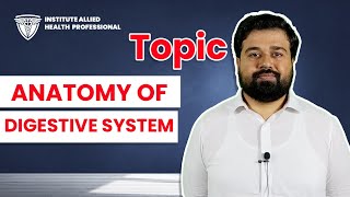 Anatomy of Digestive Systempharmacy technician Anatomy 1st year lecture [upl. by Ardyaf]