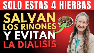 Dr Barbara ONeill dice Solo 4 mejores hierbas naturales para tus riñones para evitar la diálisis [upl. by Aluin]